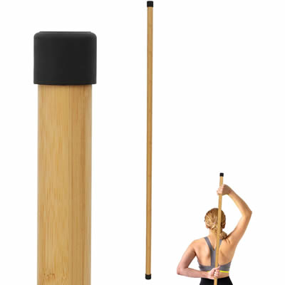 Mobility Stick